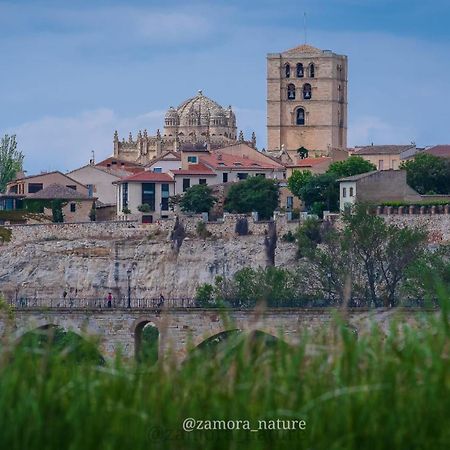 A Los Ojos Del Rio Duero 萨莫拉 外观 照片