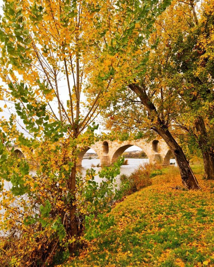 A Los Ojos Del Rio Duero 萨莫拉 外观 照片