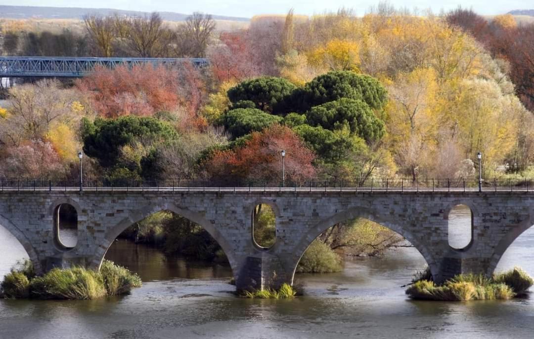 A Los Ojos Del Rio Duero 萨莫拉 外观 照片