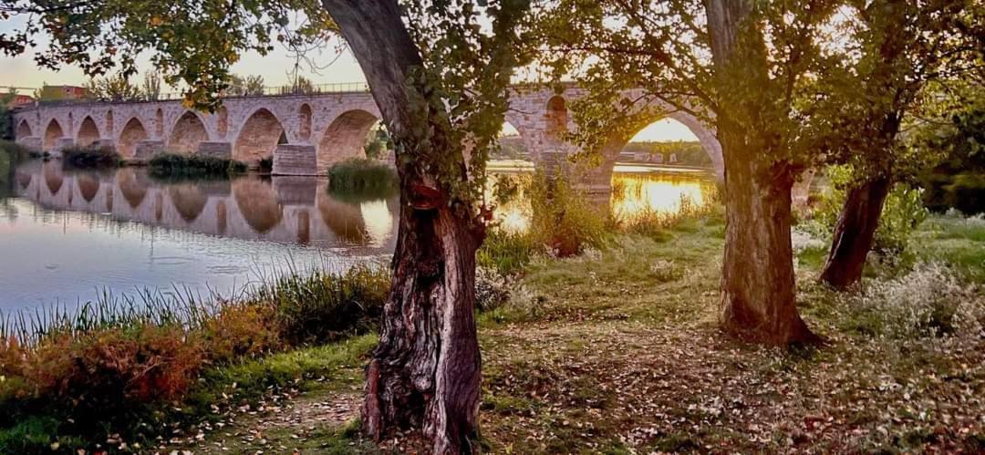 A Los Ojos Del Rio Duero 萨莫拉 外观 照片