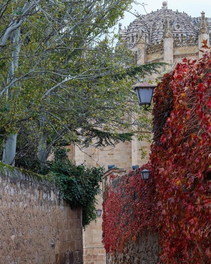 A Los Ojos Del Rio Duero 萨莫拉 外观 照片