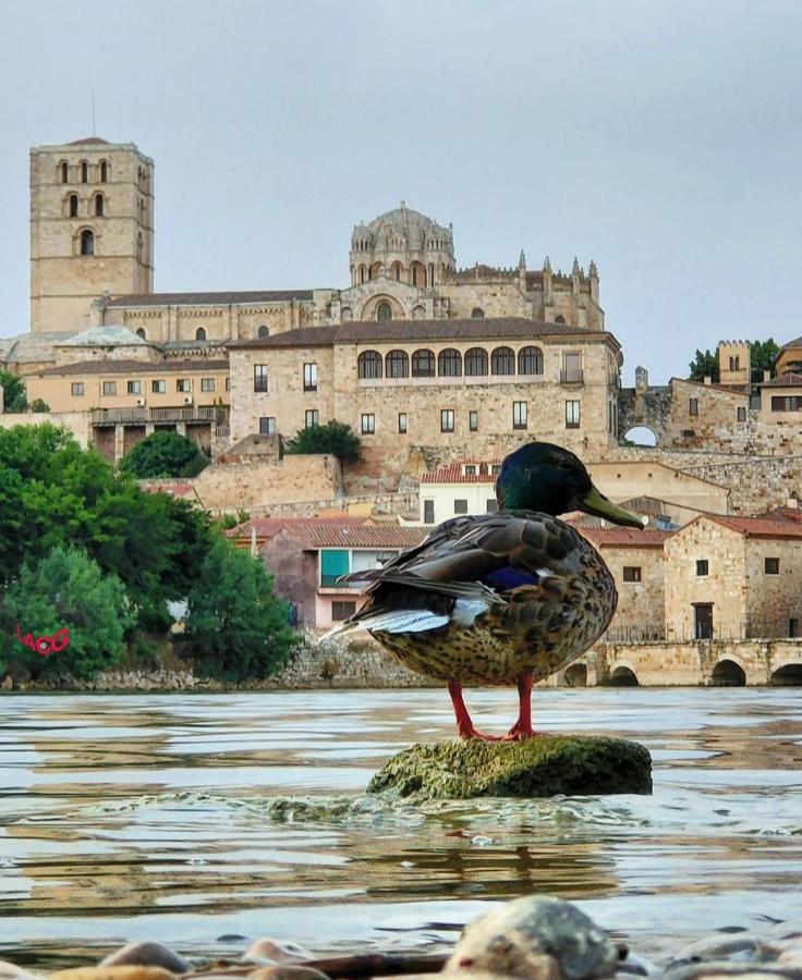 A Los Ojos Del Rio Duero 萨莫拉 外观 照片