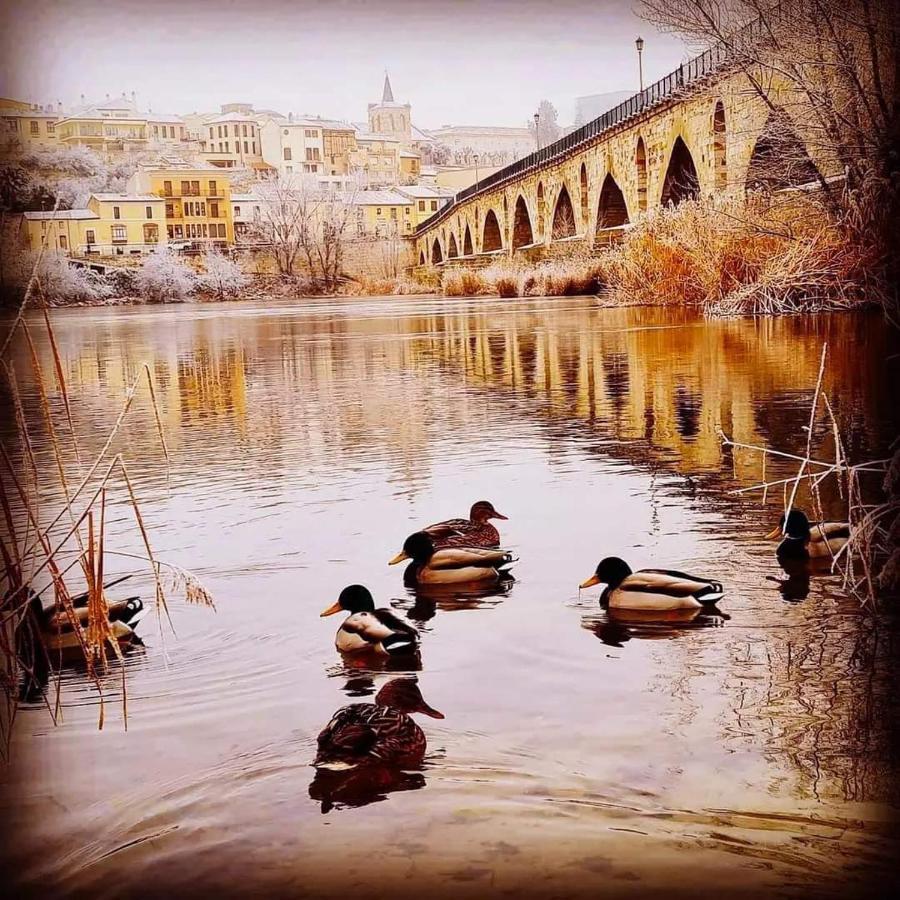 A Los Ojos Del Rio Duero 萨莫拉 外观 照片