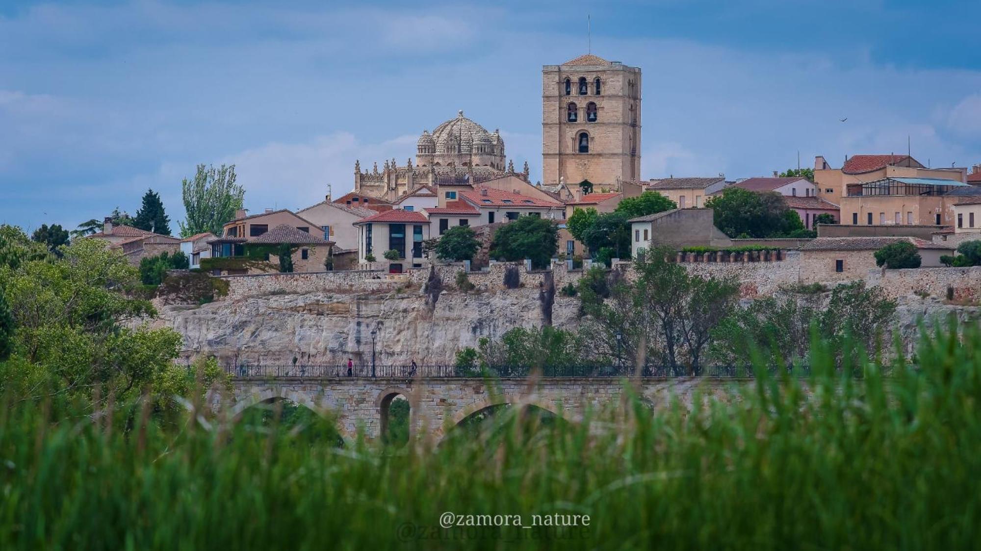 A Los Ojos Del Rio Duero 萨莫拉 外观 照片